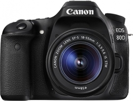 Canon EOS 80D Preisvergleich